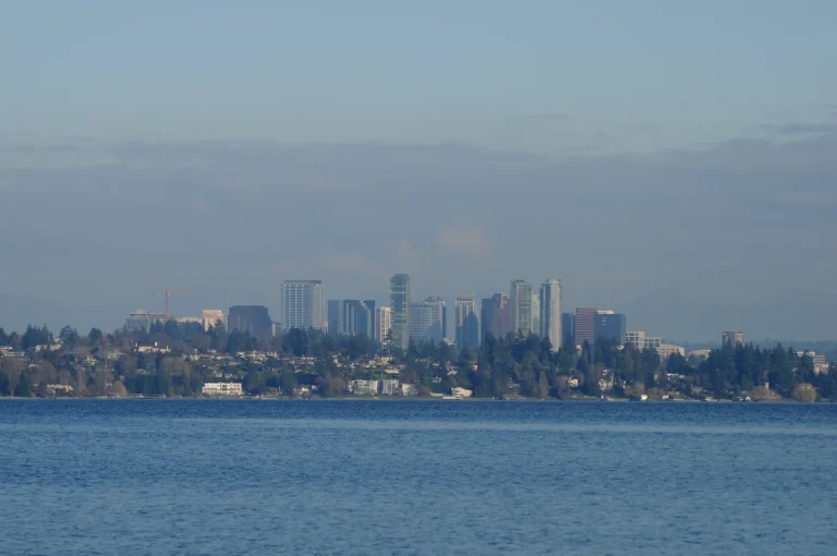 Showings but No Offers: When Should Seattle and Eastside Sellers Reduce the Price?